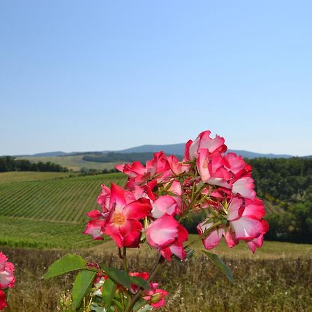 Agriturismo Cignanbianco Кастелина ин Шианти Экстерьер фото