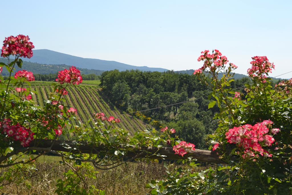 Agriturismo Cignanbianco Кастелина ин Шианти Экстерьер фото