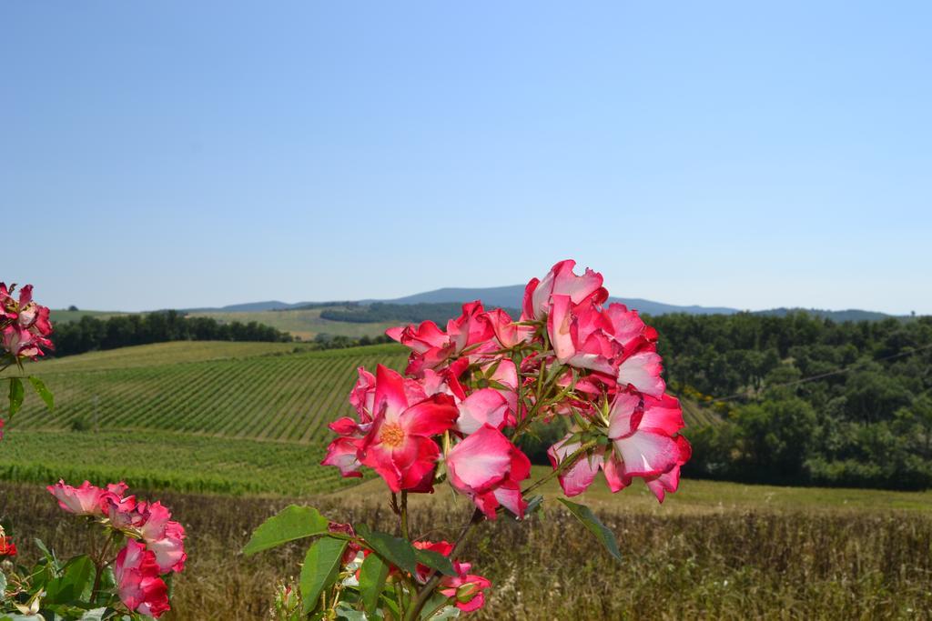 Agriturismo Cignanbianco Кастелина ин Шианти Экстерьер фото